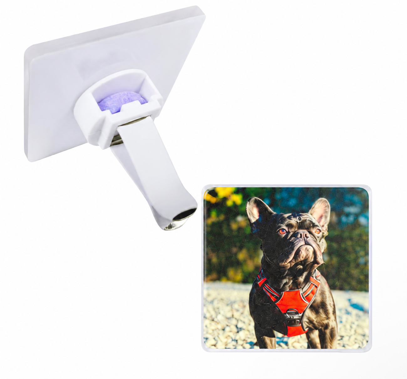 Car Photo Diffuser